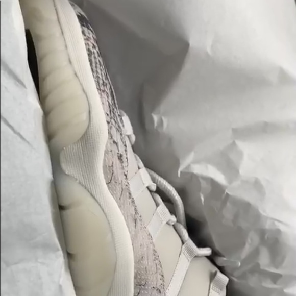 Air Jordan 11’s “SNAKESKIN” - Picture 2 of 5